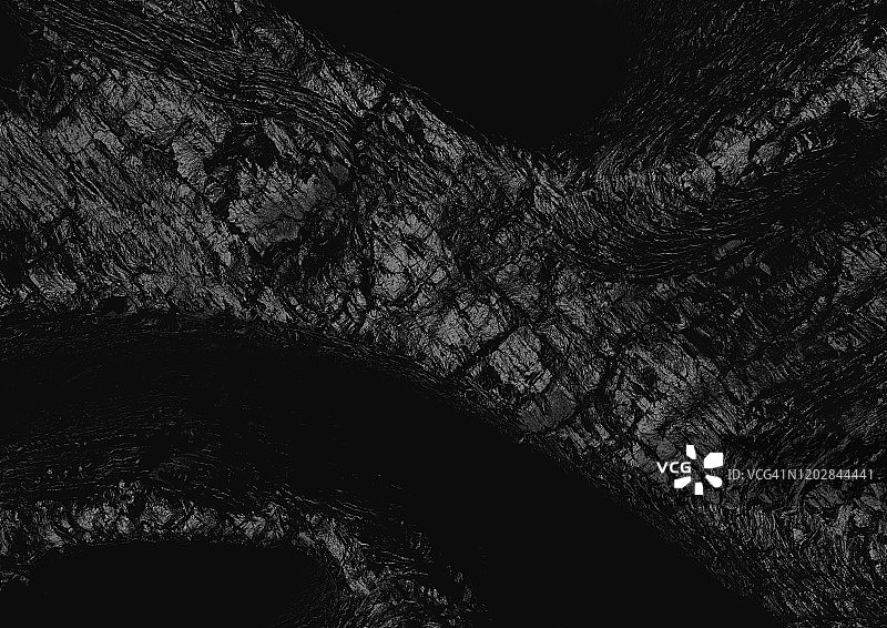 像煤炭一样烧焦的树木图片素材