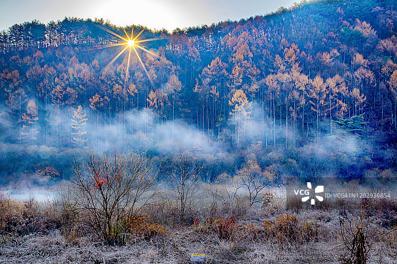 韩国镇安郡龙潭湖的秋季景观图片素材