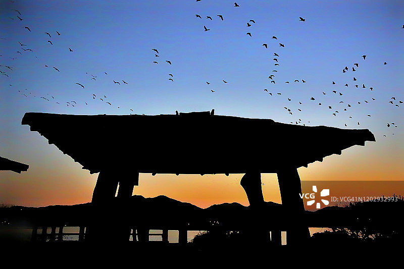 飞翔的白枕鹤（韩国昌原君南湖上）图片素材