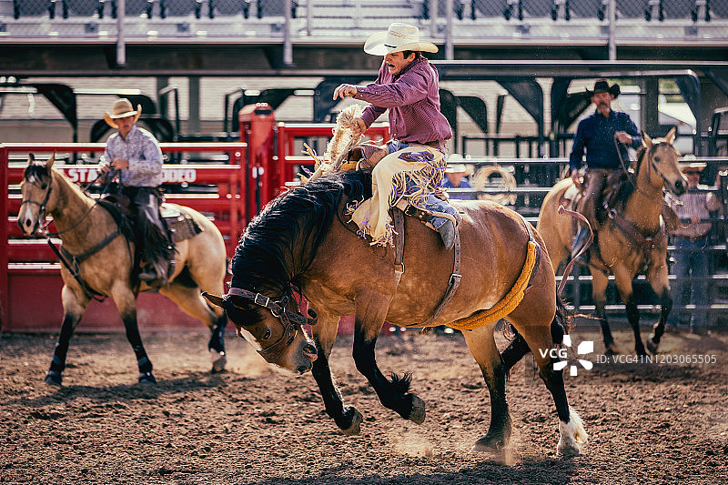 在竞技表演中，一位年轻男子努力留在跳跃的野马上，同时两位接应人员在背景中密切注视着他图片素材