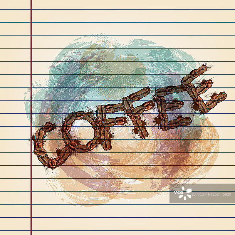 在格纹纸上绘制的咖啡豆图片素材