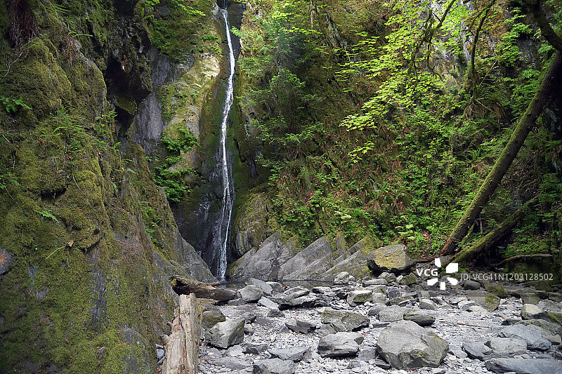 旱季：温哥华岛戈尔德斯特里姆省立公园的尼亚加拉瀑布图片素材