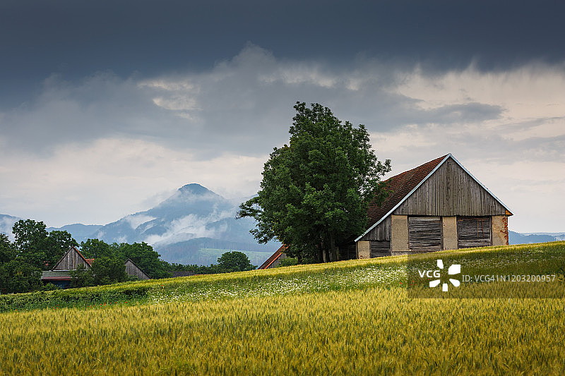 图里埃茨地区的田野和传统谷仓，斯洛伐克中部图片素材