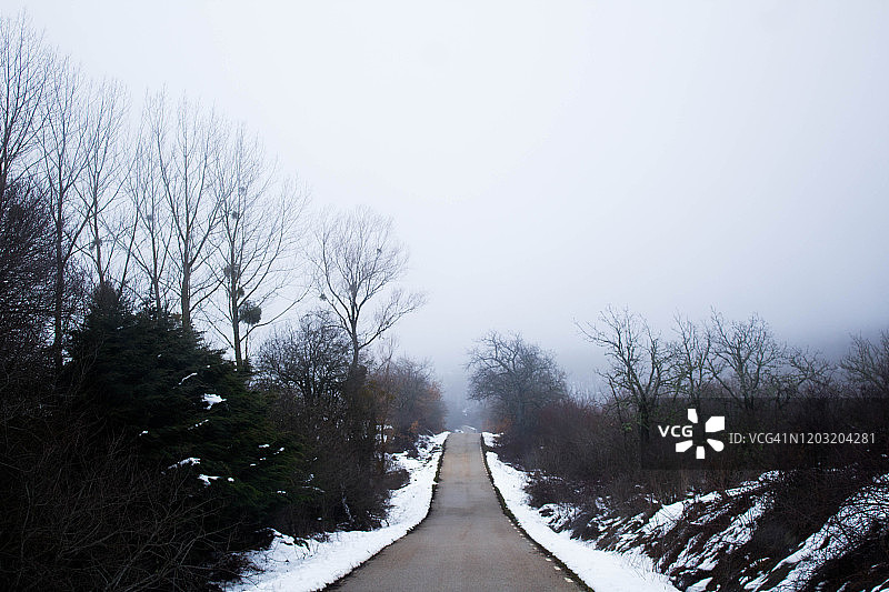边缘有雪和周围树木的空旷道路图片素材