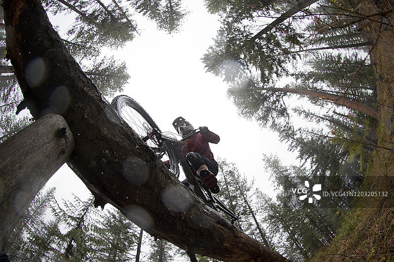 骑山地车的女人图片素材