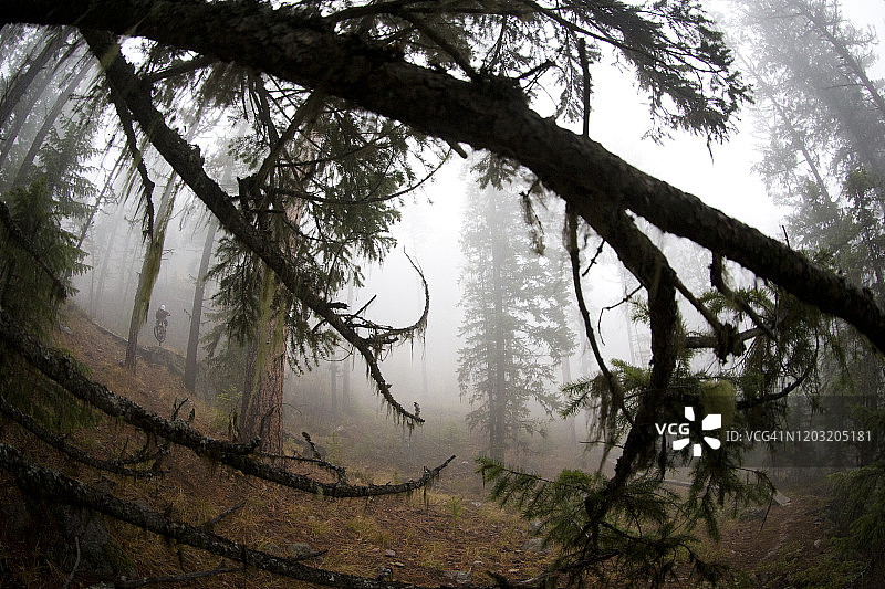 速降山地自行车女骑手图片素材