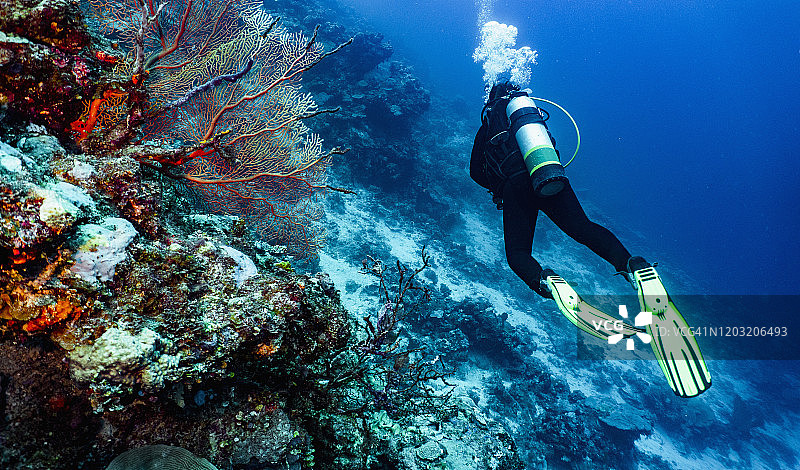 潜水员探索澳大利亚大堡礁图片素材