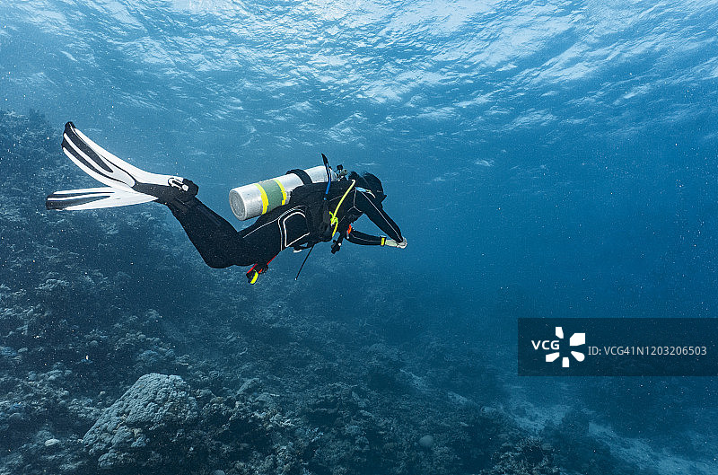 潜水员探索澳大利亚大堡礁图片素材
