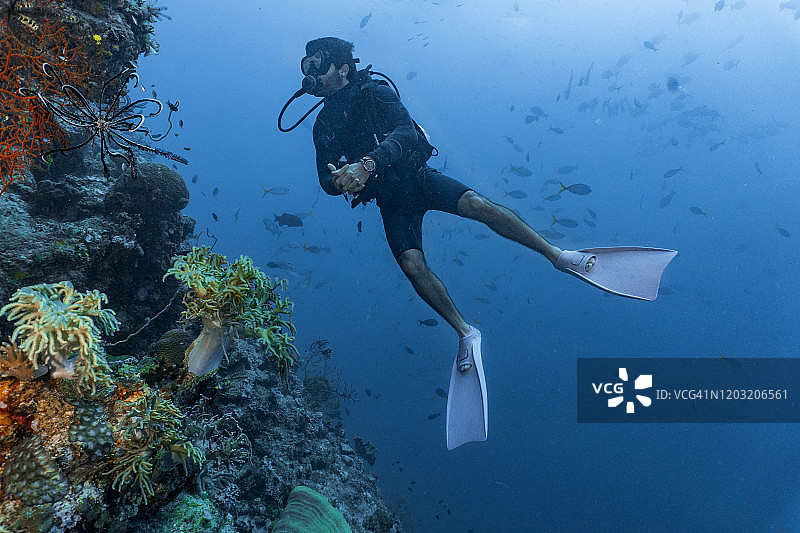 潜水员探索澳大利亚大堡礁图片素材