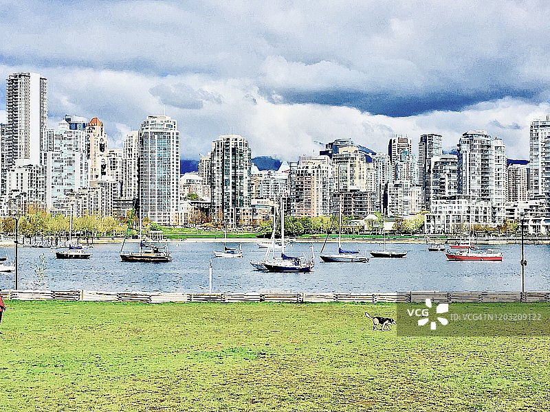 狗公园：查尔斯顿公园，福溪，朝向耶鲁镇温哥华图片素材