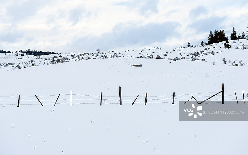 雪地里的带刺铁丝网围栏图片素材