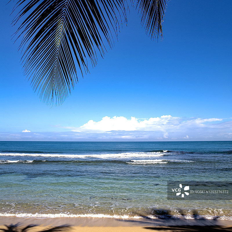 海地大西洋上的早晨图片素材