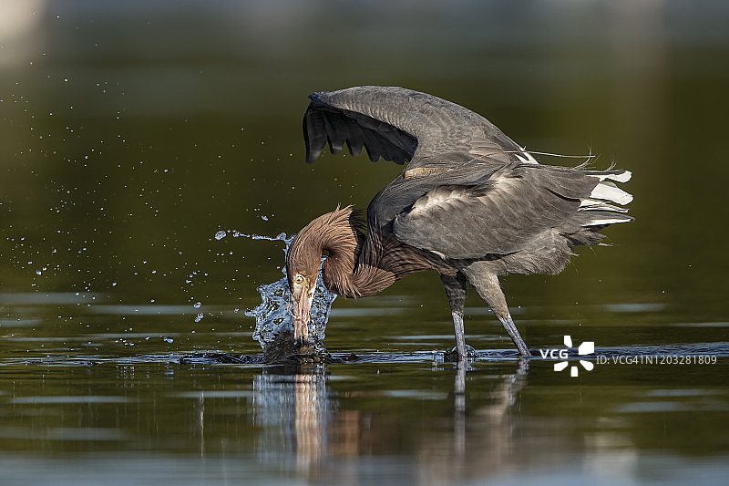 红色闪电图片素材