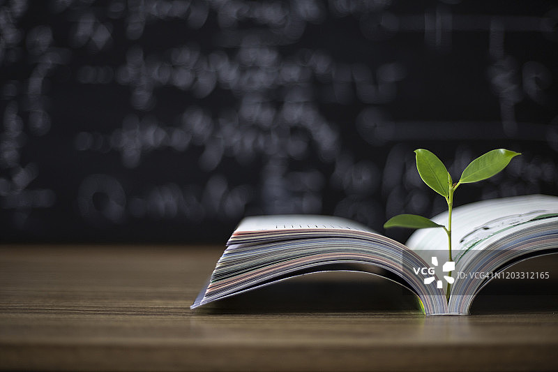 教育理念，书籍与树木图片素材