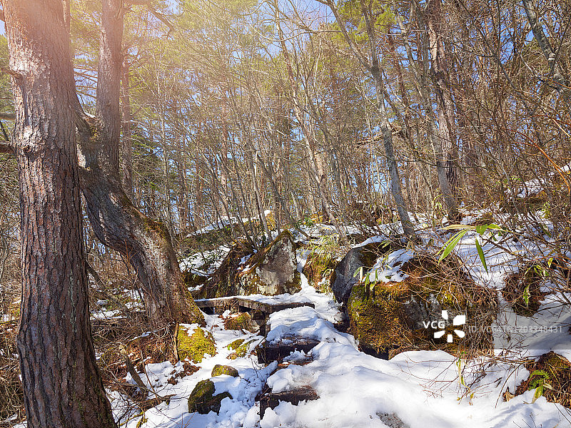 日本福岛五色沼的景观图片素材
