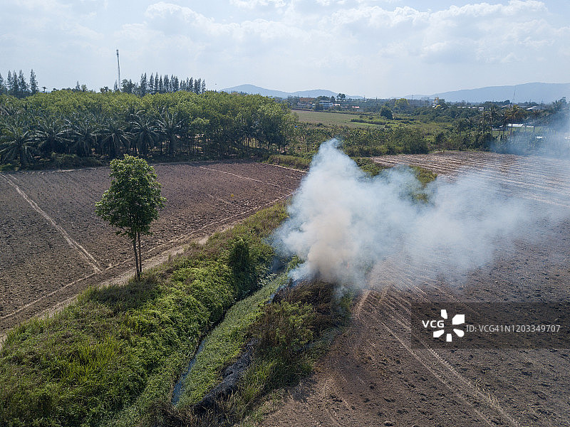 农业焚烧秸秆和甘蔗准备图片素材