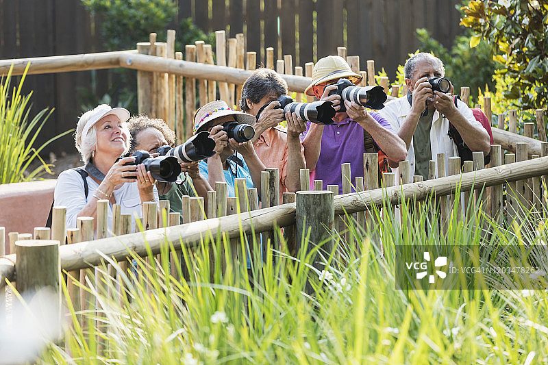 老年人旅行团合影图片素材