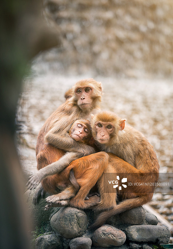 加德满都鸟瞰图图片素材