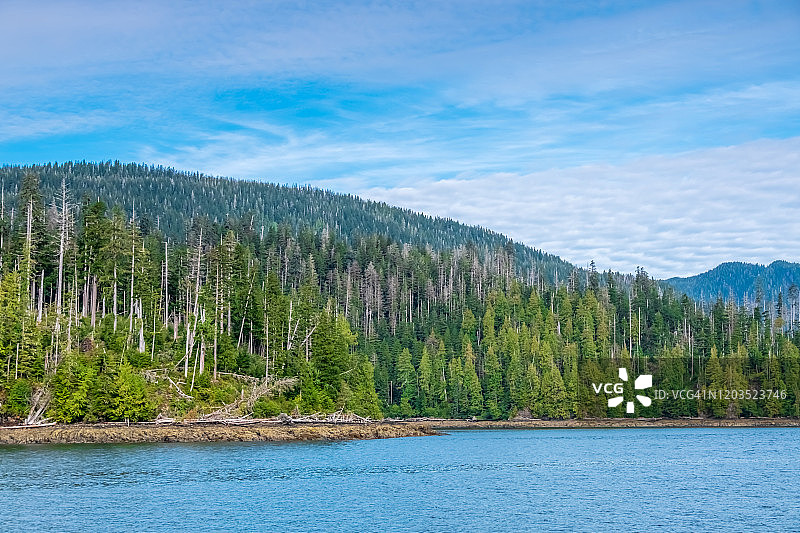 在美国阿拉斯加州凯奇坎迷雾峡湾国家纪念地巡游图片素材