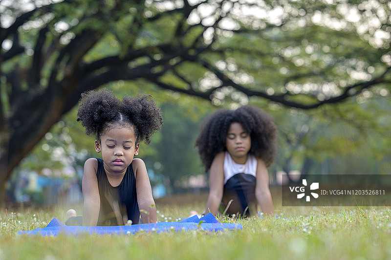 两个可爱的孩子在公园户外学习瑜伽图片素材