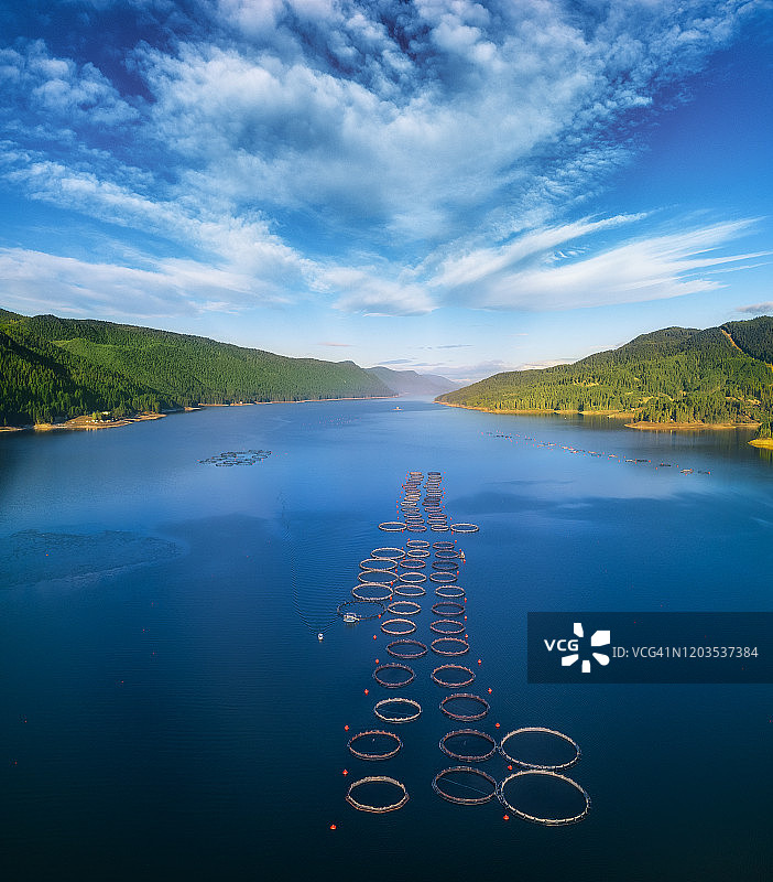 大型养鱼场的航拍景色，有许多鱼类围栏图片素材