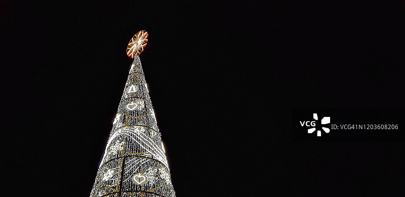 黑暗中的圣诞树图片素材