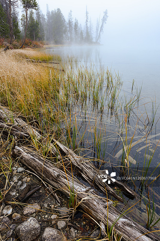红色小鱼湖岸图片素材