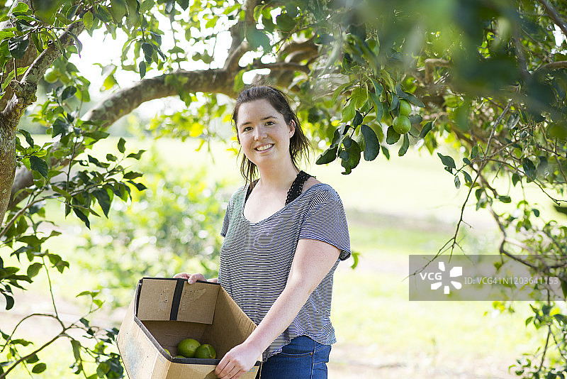 在果园里工作图片素材