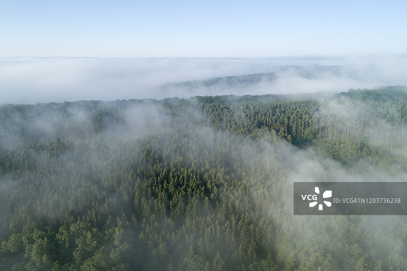 清晨有雾的森林鸟瞰图，碧空如洗图片素材