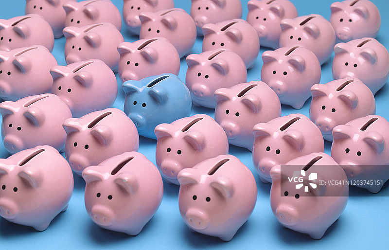 粉色小猪储蓄罐素材（含一个蓝色）图片素材