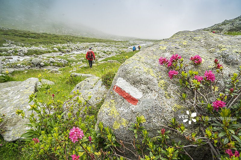 小径漫步图片素材