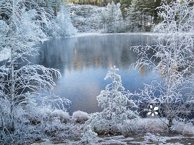冰冻池塘周围的雾凇树，冰雪寒冷图片素材