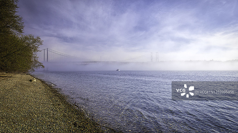 雾中的塔科马海峡大桥图片素材