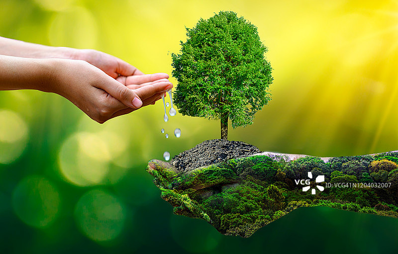 世界地球日：手中生长的小树苗，绿色背景，女性在自然田野草地森林中手捧树木，环保概念图片素材