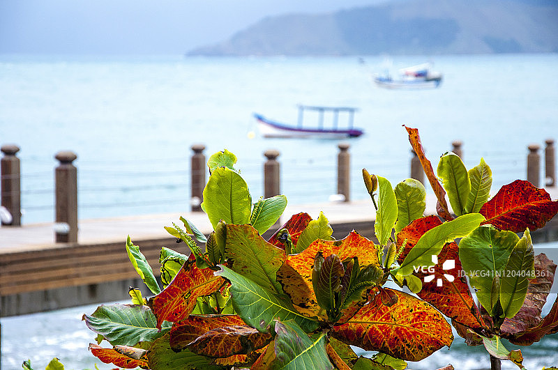 巴西圣保罗伊利亚贝拉的自然风光、码头和海景图片素材