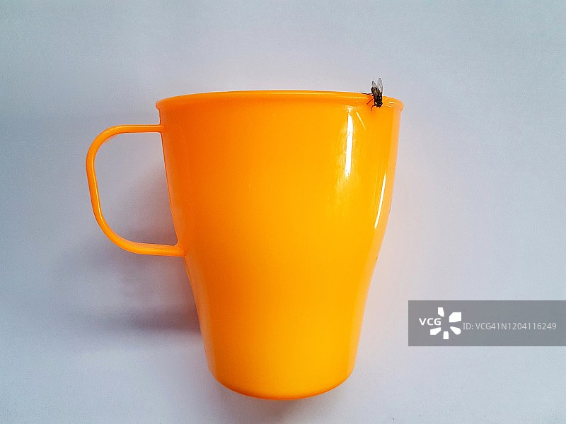 橙色杯子上的家蝇图片素材