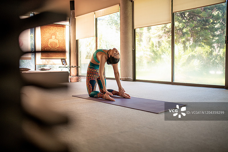 一名女子在工作室练习瑜伽——骆驼式图片素材
