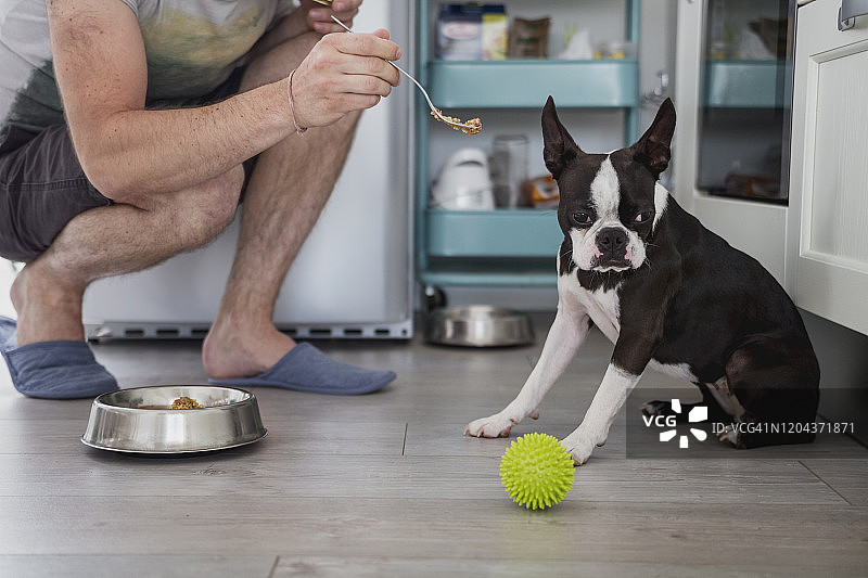 男人喂他的狗图片素材