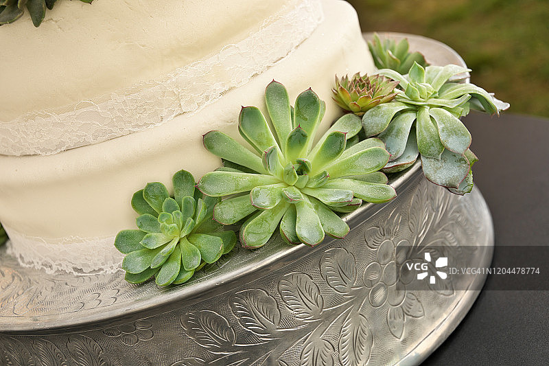饰有多肉植物的华丽银色支架上的白色婚礼蛋糕图片素材