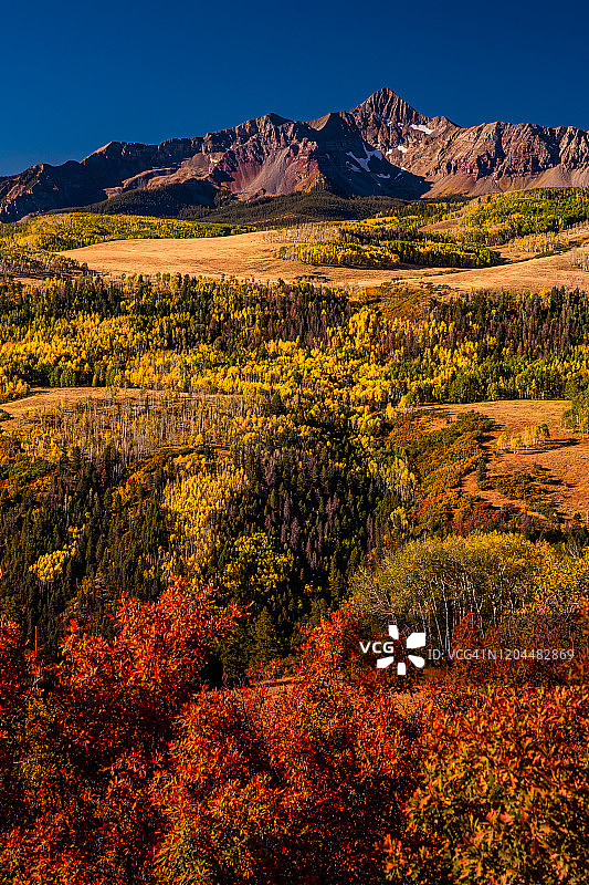特柳赖德的威尔逊峰秋色图片素材