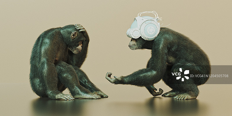 戴着VR头盔的黑猩猩向另一只伸出手图片素材