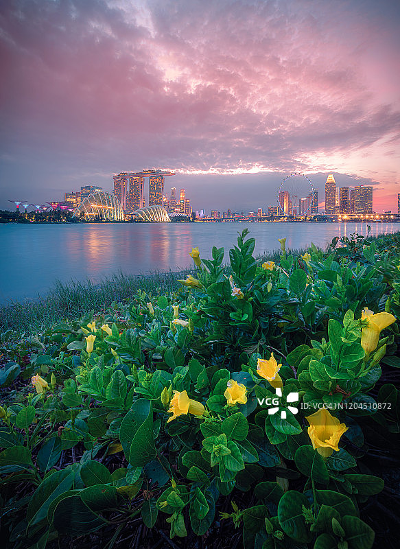 新加坡市中心（滨海湾地区）的暮光天际线图片素材