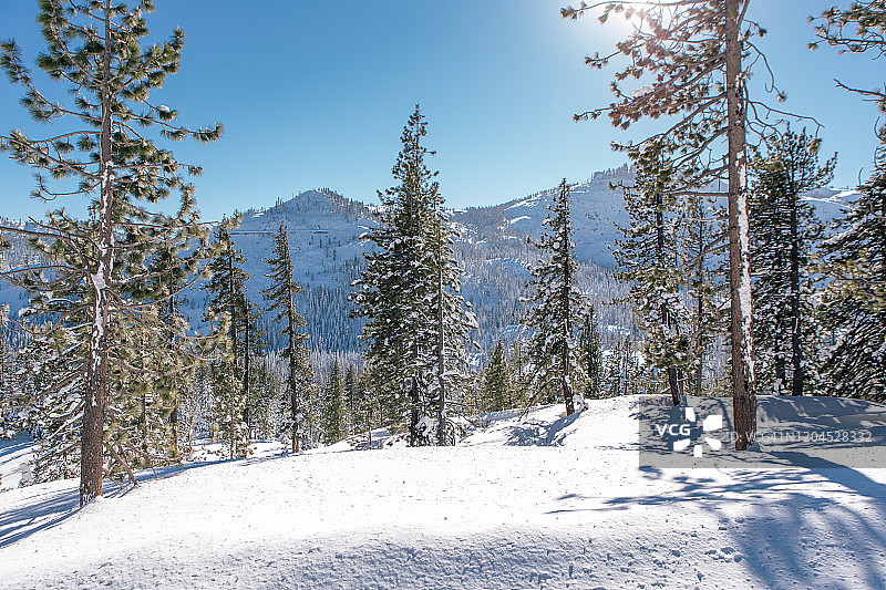 唐纳峰的冬季，加利福尼亚州特拉基图片素材