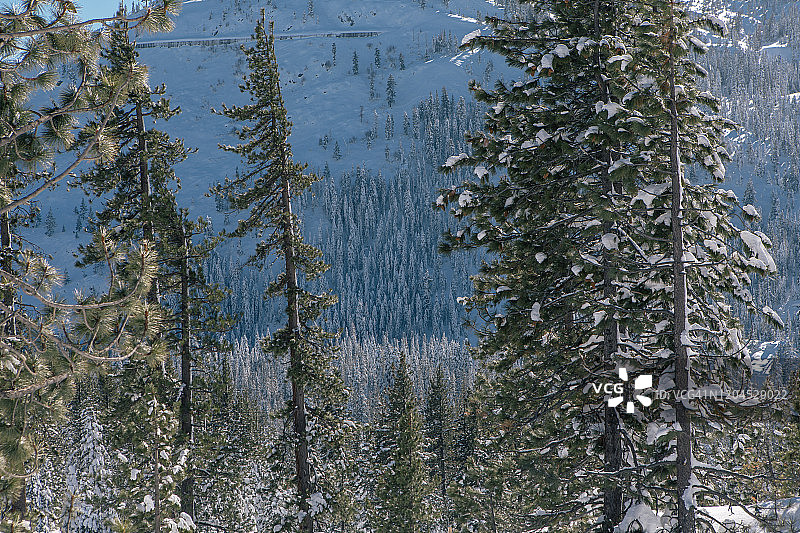 唐纳峰的冬季，加利福尼亚州特拉基图片素材