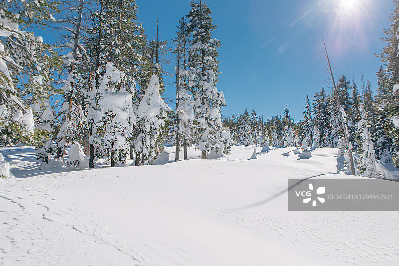 唐纳峰的冬季，加利福尼亚州特拉基图片素材