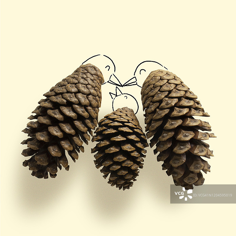 鸟类家庭概念图片素材