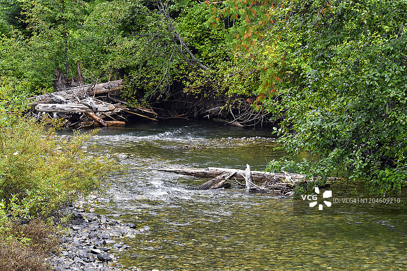 斯卡吉特河（卑诗省乌鸦巢高速公路3号旁的曼宁公园）图片素材