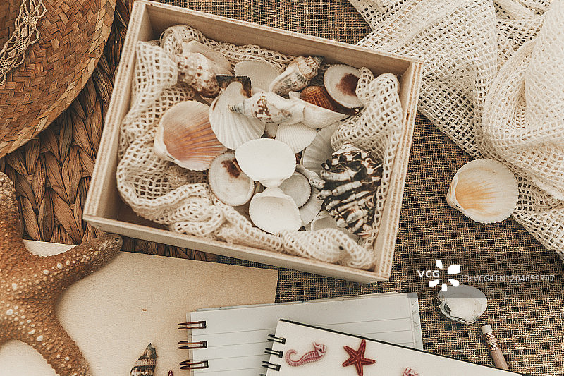 扁平风格贝壳与夏季元素图片素材