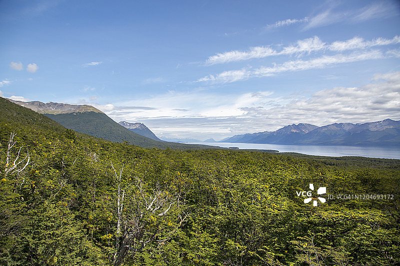 麦哲伦山毛榉森林与湖泊和山脉的广角镜头图片素材