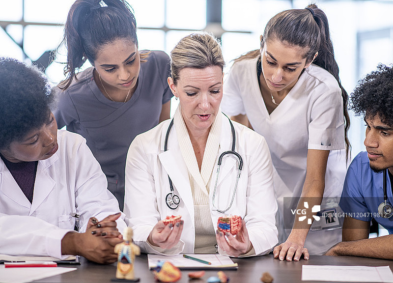 医学生学习大脑图 Stock照片图片素材